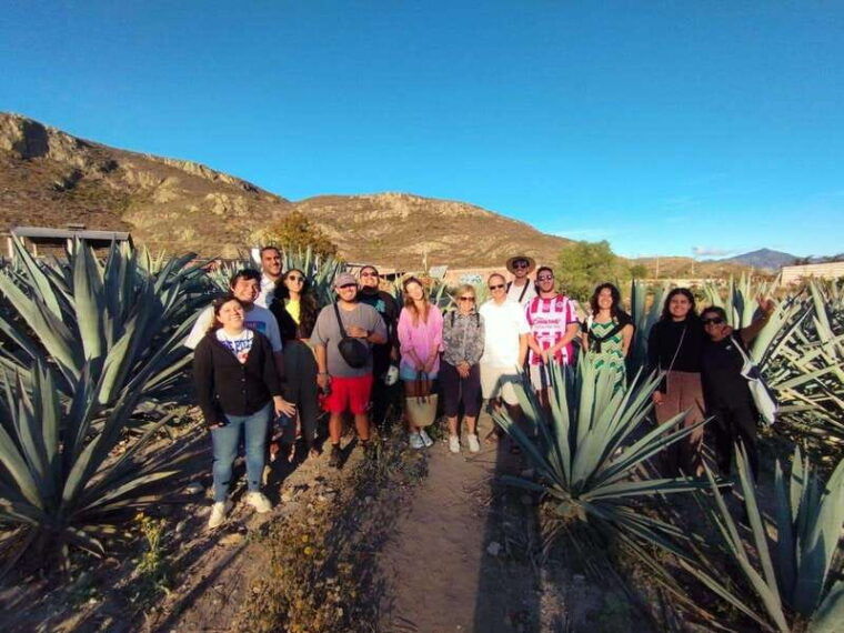 boil-the-water-mitla-tule-tree-tapetes-mezcal-distillery-tour