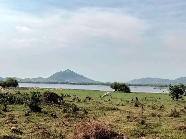 bokor-national-park-and-countryside-tour-include-pepper-farm