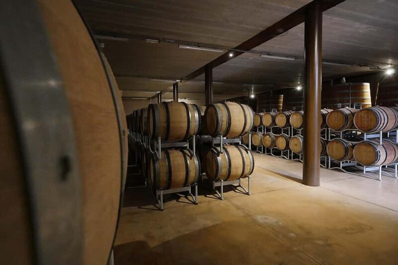 Bolgheri: guided visit of the winery and tasting of our wines - An In-Depth Look at the Tour Experience