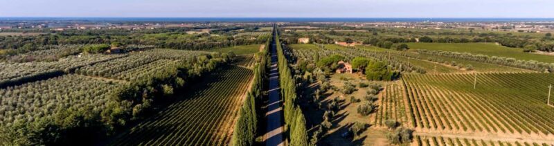 Bolgheri: Guided Walking Tour of the Village - Who Will Love This Tour?