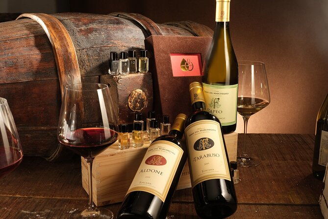 bolgheri-sensorial-wine-tasting-with-winery-tour