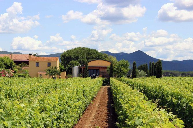bolgheri-sensorial-wine-tasting-with-winery-tour