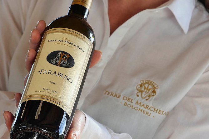 bolgheri-sensorial-wine-tasting-with-winery-tour