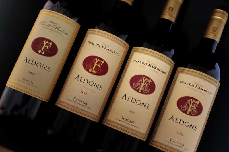 bolgheri-vertical-wine-tasting-at-terre-del-marchesato
