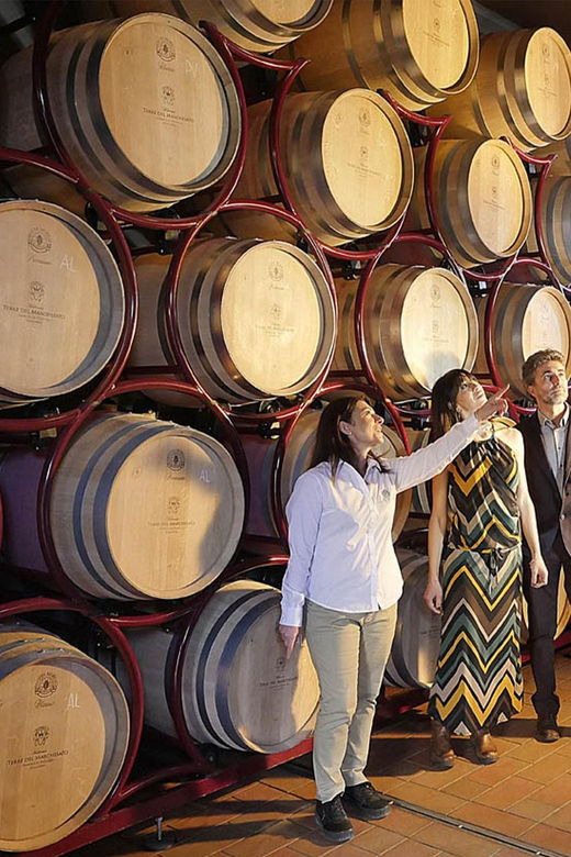 bolgheri-vertical-wine-tasting-at-terre-del-marchesato