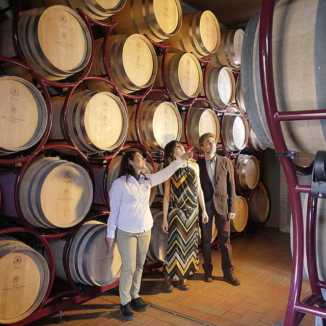 bolgheri-vertical-wine-tasting-at-terre-del-marchesato