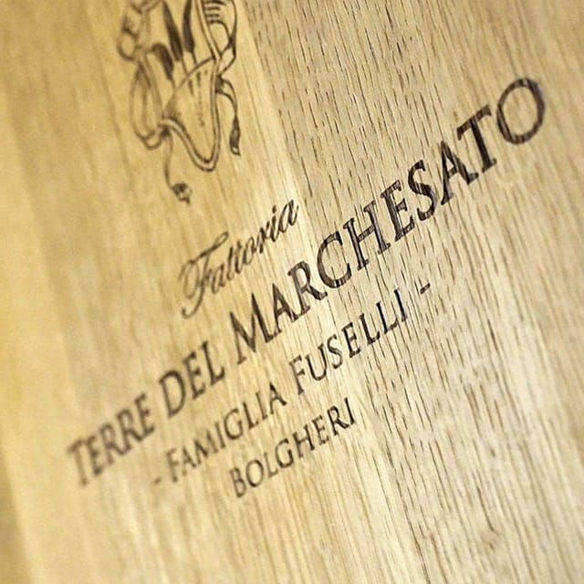 bolgheri-vertical-wine-tasting-at-terre-del-marchesato