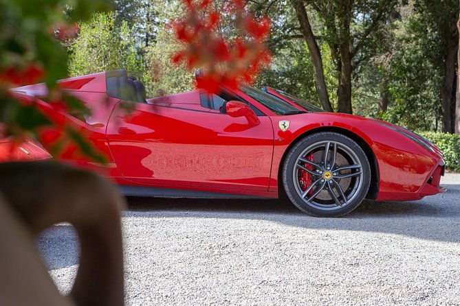 bolgheri-volterra-florence-tour-in-ferrari