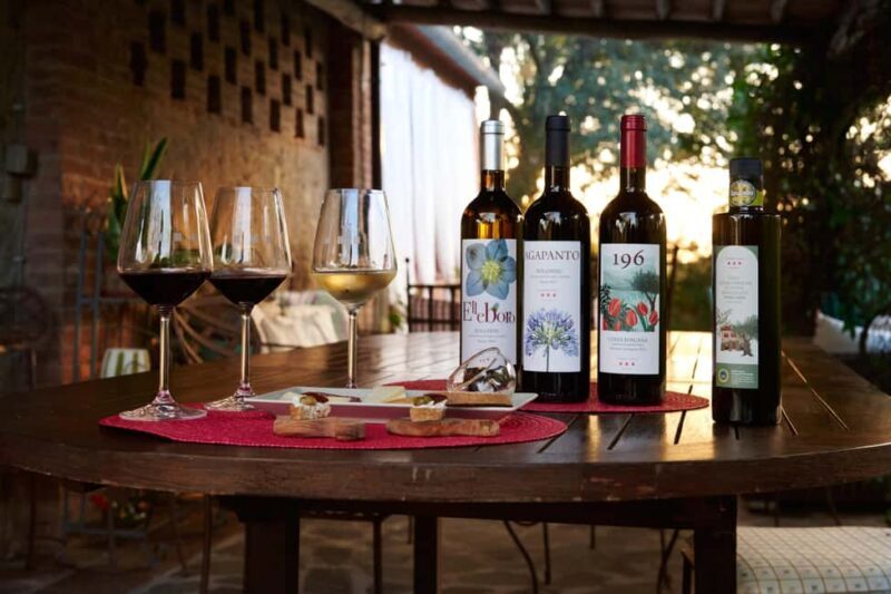 Bolgheri: Wine tasting at Podere Conca - Discovering the Heart of Bolgheri at Podere Conca