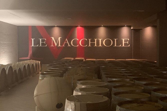 bolgheri-wine-tour-from-lucca