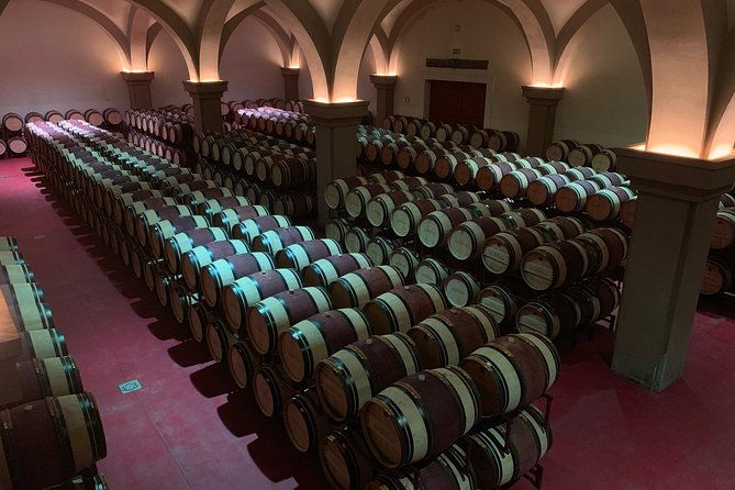 bolgheri-wineries-and-tuscany-tour