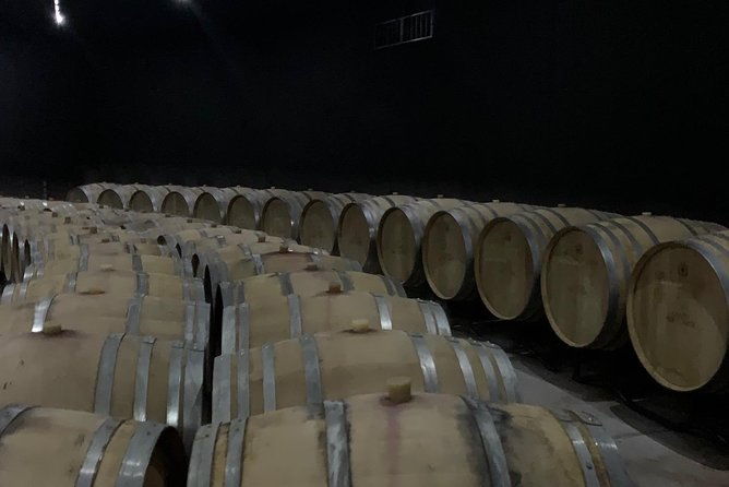 bolgheri-wineries-and-tuscany-tour