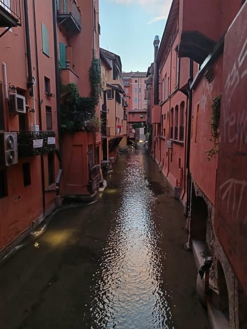 bologna-by-night-food-wine-spritz-and-fun