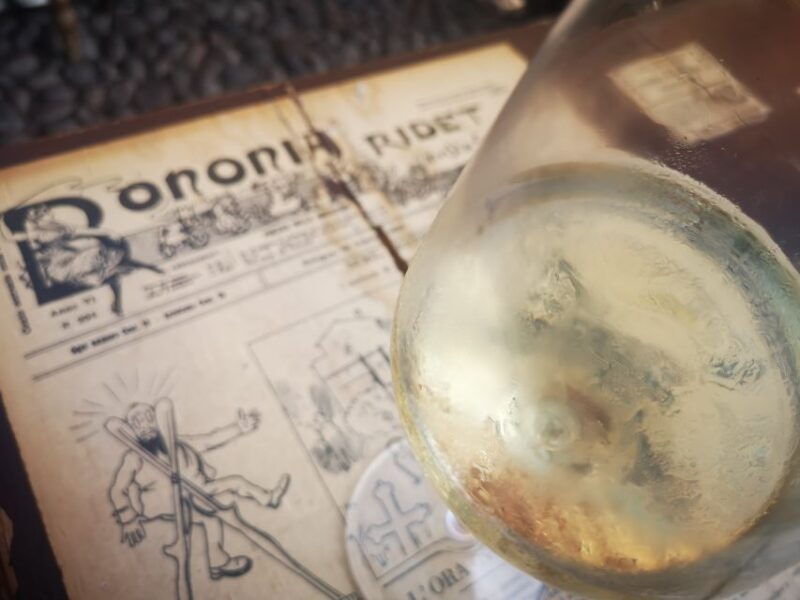 bologna-city-center-guided-wine-walking-tour