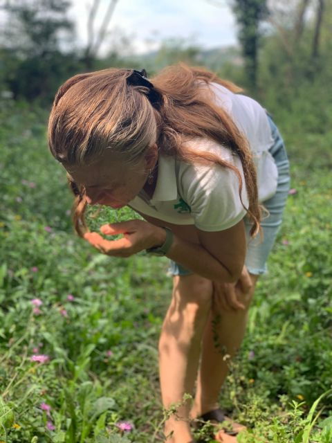bologna-forli-foraging-looking-for-wild-edible-herbs