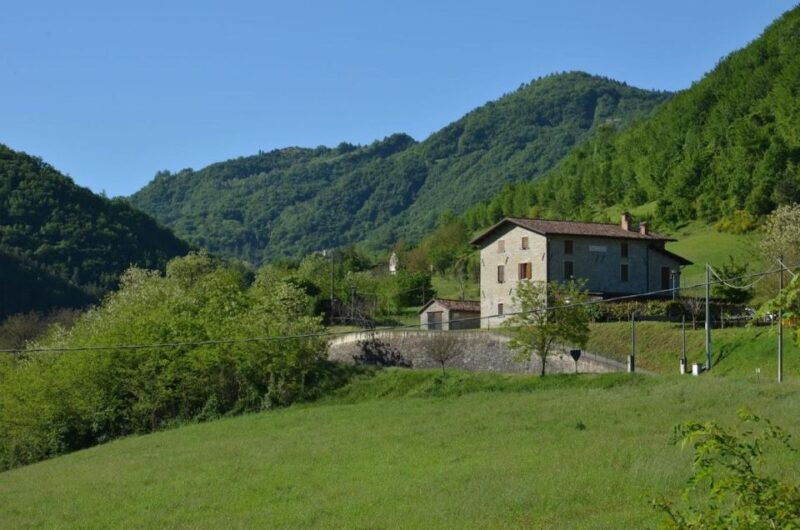 bologna-forli-foraging-looking-for-wild-edible-herbs