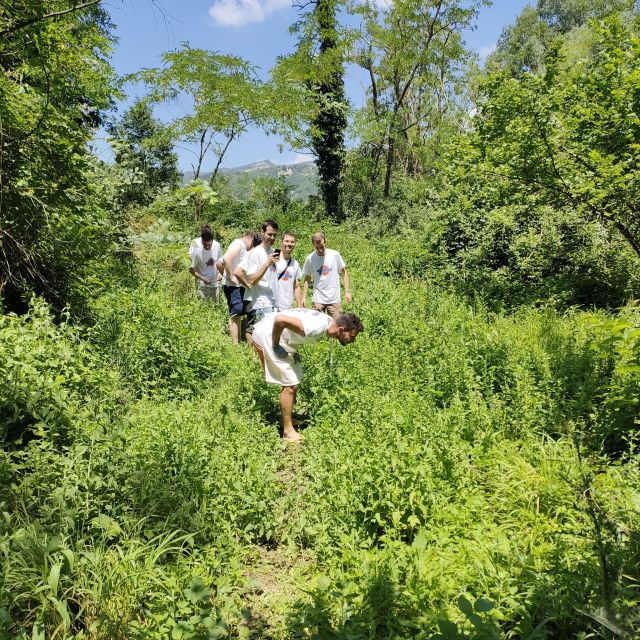 bologna-forli-foraging-looking-for-wild-edible-herbs