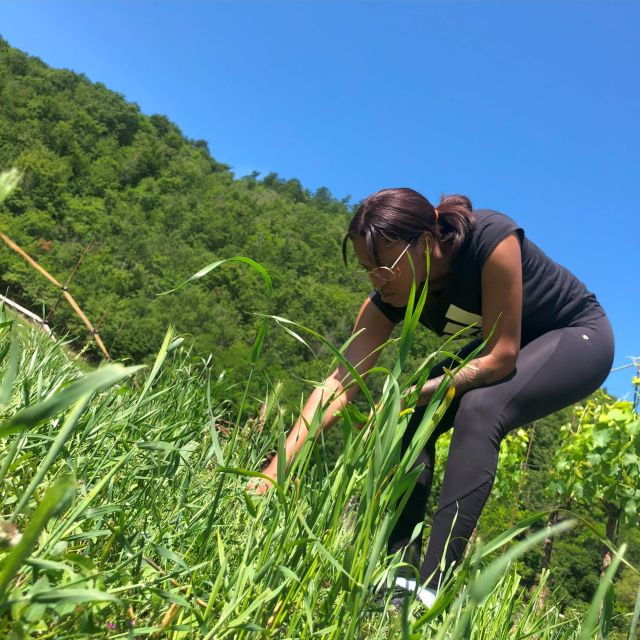 bologna-forli-foraging-looking-for-wild-edible-herbs