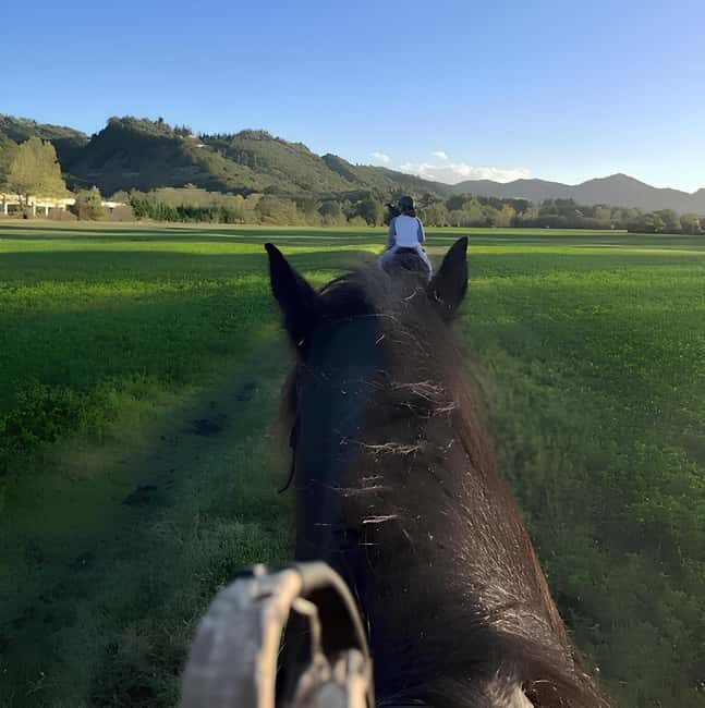 Bologna: Horseback Ride in the Bolognese Hills - Additional Insights from Reviews  