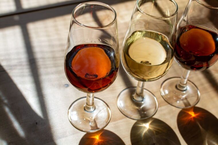 bologna-italian-red-wine-and-food-tasting