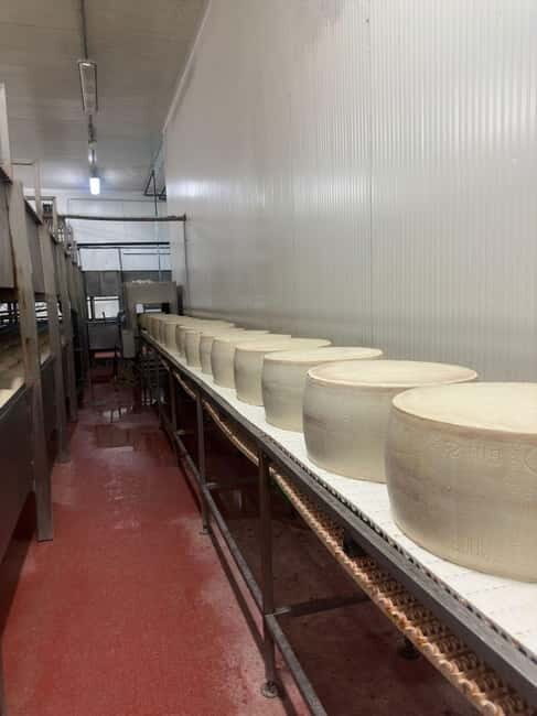 Bologna/Modena: Parmesan,Ferrari, Balsamic,Wine Tour w/Lunch - Who Will Love This Tour?