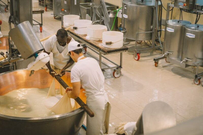bologna-modena-parmigiano-ferrari-and-wine-tour-with-lunch