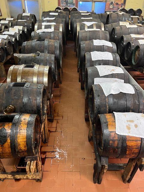bologna-modena-parmigiano-ferrari-and-wine-tour-with-lunch