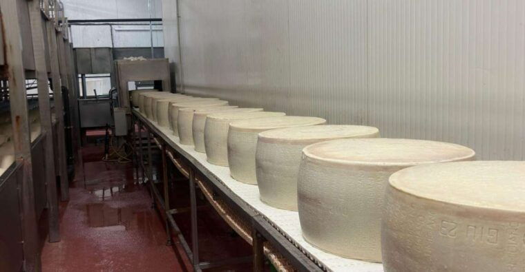bologna-modena-parmigiano-ferrari-and-wine-tour-with-lunch