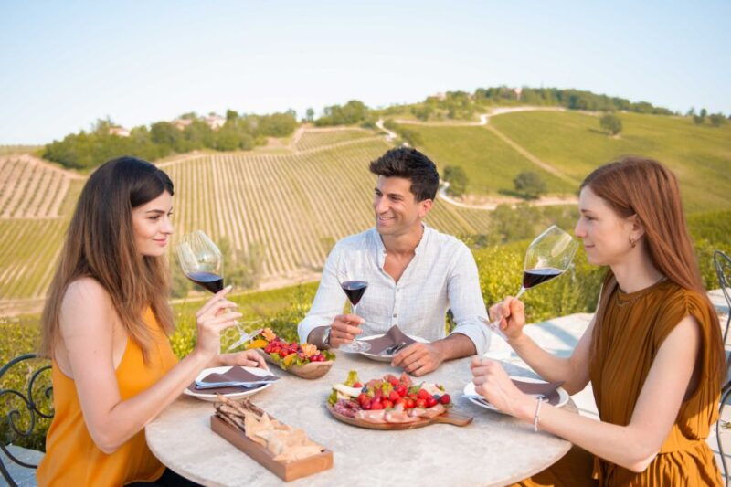 bologna-olive-grove-and-vineyard-tour-with-product-tastings