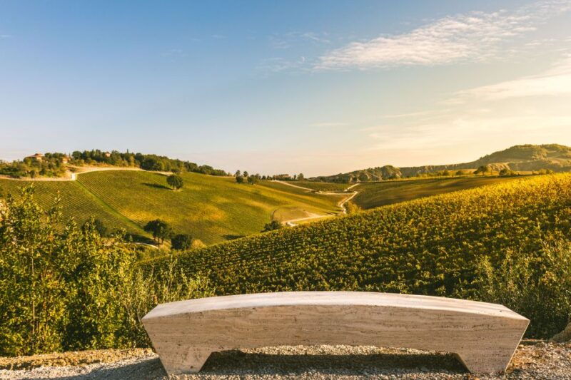 bologna-olive-grove-and-vineyard-tour-with-product-tastings