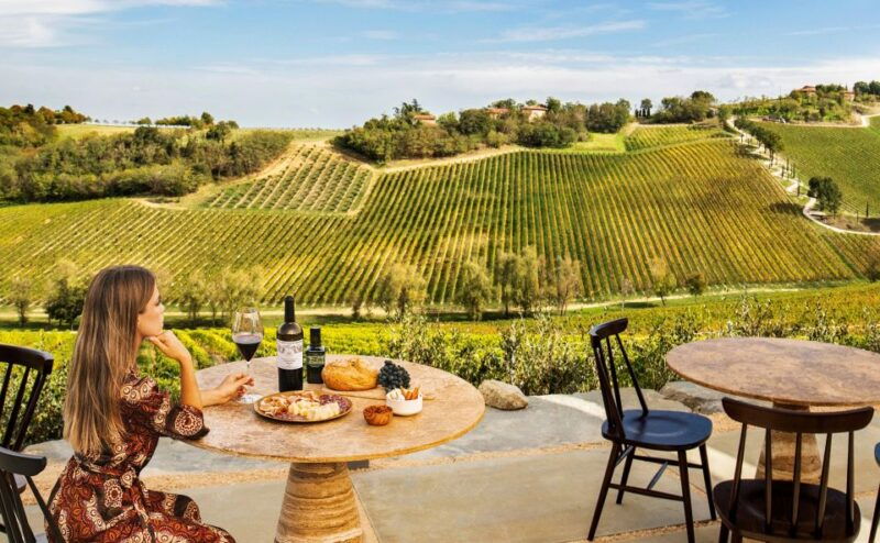 bologna-olive-grove-and-vineyard-tour-with-product-tastings