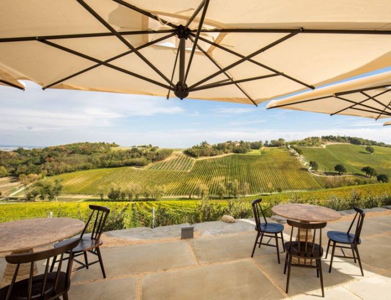 bologna-olive-grove-and-vineyard-tour-with-product-tastings