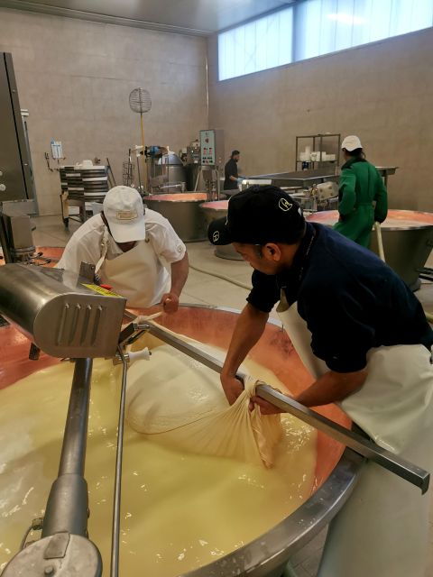 bologna-parmigiano-wine-and-balsamic-vinegar-experience