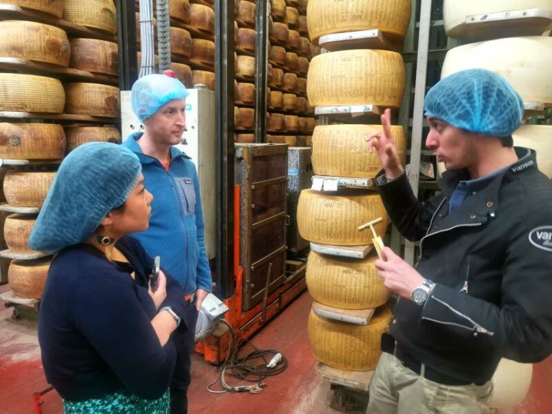 bologna-parmigiano-wine-and-balsamic-vinegar-experience