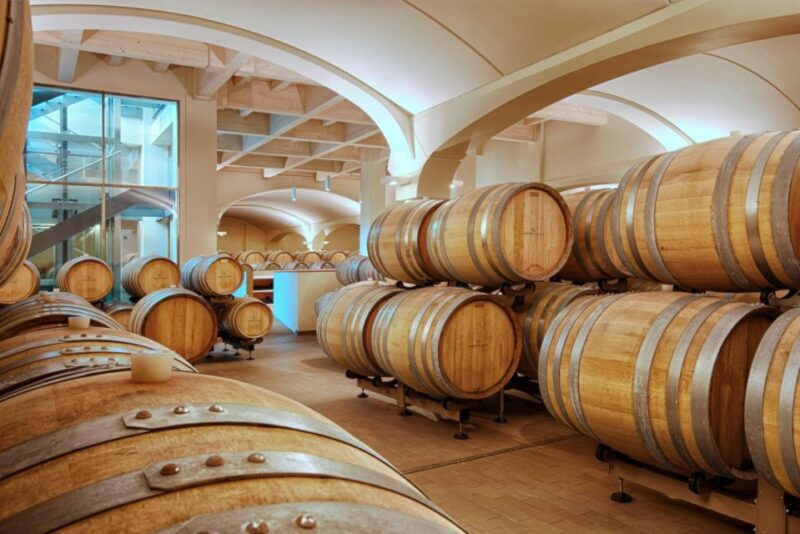 bologna-vineyard-vista-a-journey-through-emilian-wines