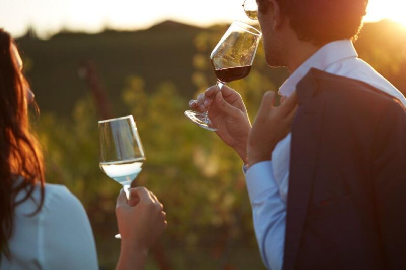bologna-vineyard-vista-a-journey-through-emilian-wines