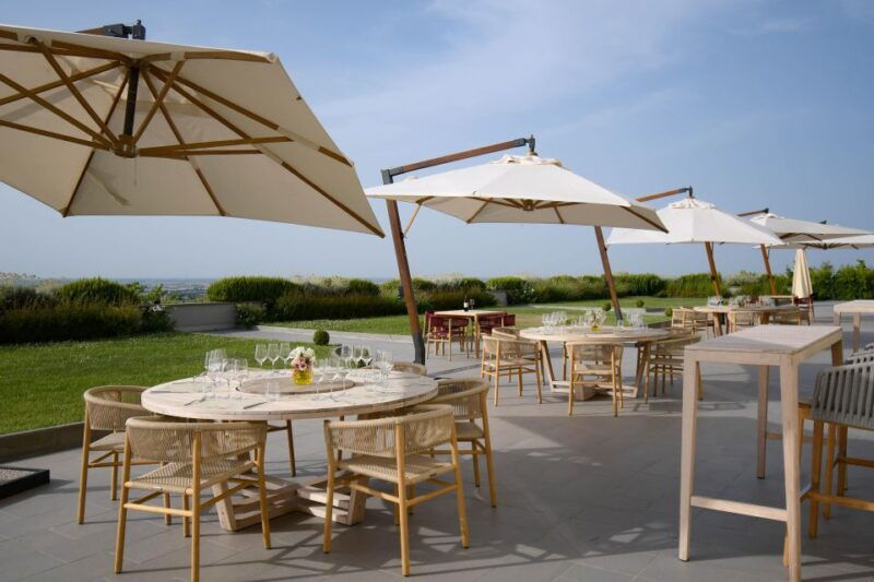 bologna-vineyard-vista-a-journey-through-emilian-wines
