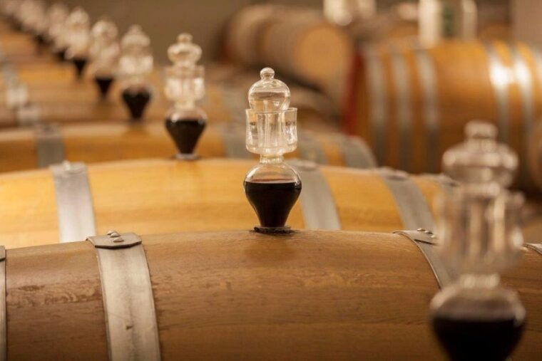 bologna-vineyard-vista-a-journey-through-emilian-wines