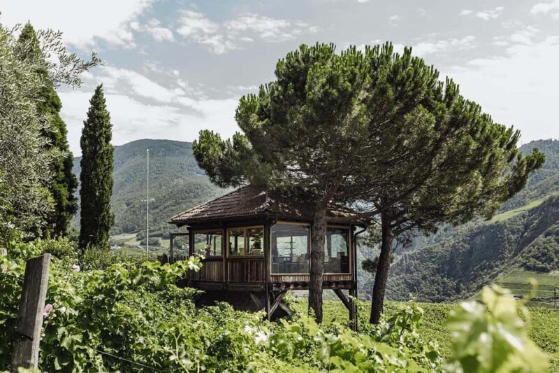 Bolzano: Wine Tasting at SKYWINE Pavilion with Views - The Loacker Philosophy and Sustainable Winemaking