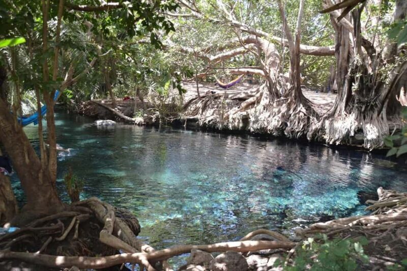Boma Ng'ombe: Chemka Hot Springs Day Trip - Practical Details and Comfort Tips