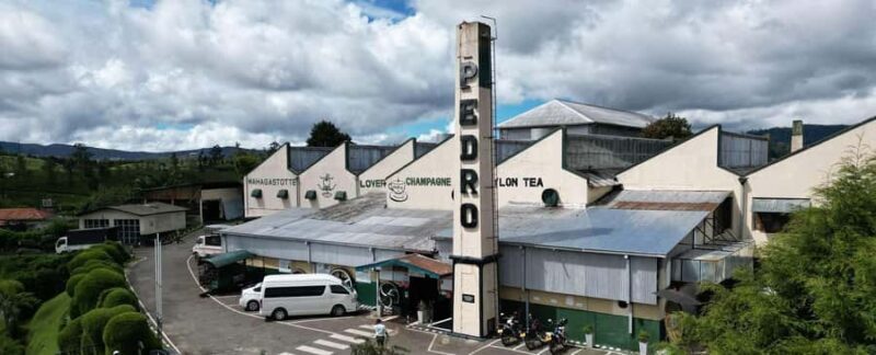 Bomburella Waterfalls, Lovers Leap & Pedro Tea Factory Tour - Who Should Consider This Tour?