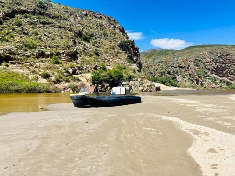 Bon Game Reserve: Hovercraft Adventure - What You Can Expect from the Hovercraft Adventure