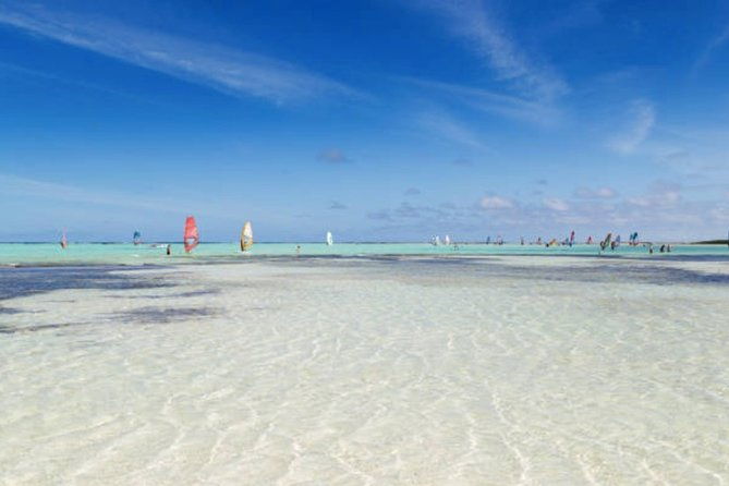 bonaire-shore-excursion-the-bonaire-highlights-tour