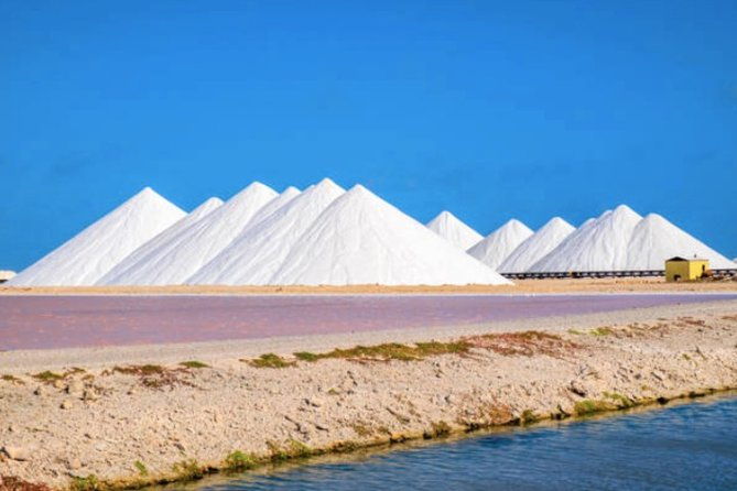 bonaire-shore-excursion-the-bonaire-highlights-tour