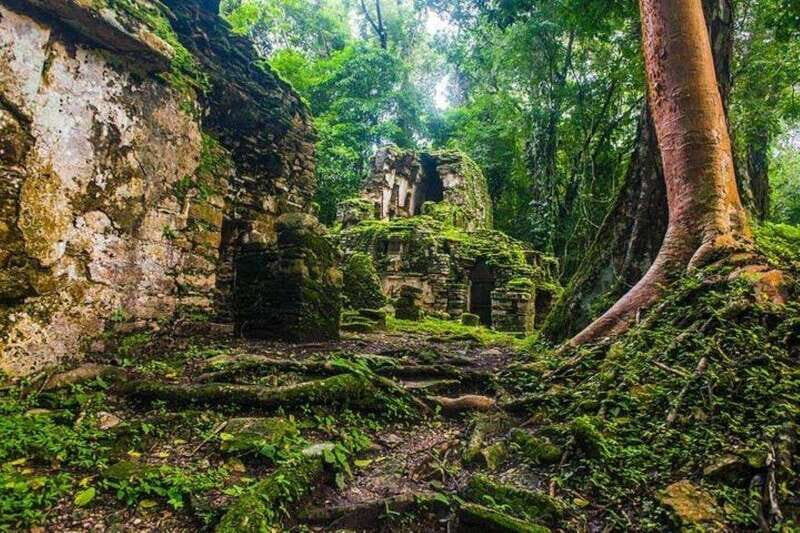 Bonampak & Yaxchilan archaeological sites & jungle - The Sum Up