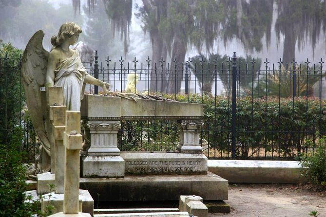 bonaventure-cemetery-private-day-tour-with-shannon-scott-2