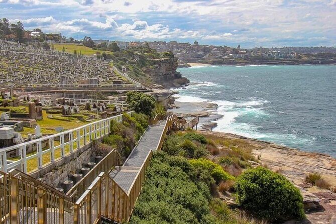Bondi to Coogee Guided Coastal Walk with Lunch - Who Would Love This Tour?