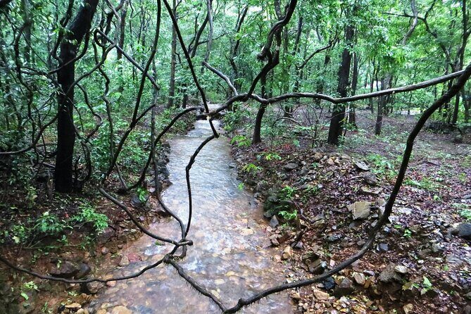 Bondla Wildlife Sanctuary with Lunch in Spice Plantation in Goa - Discovering Goa’s Natural Side