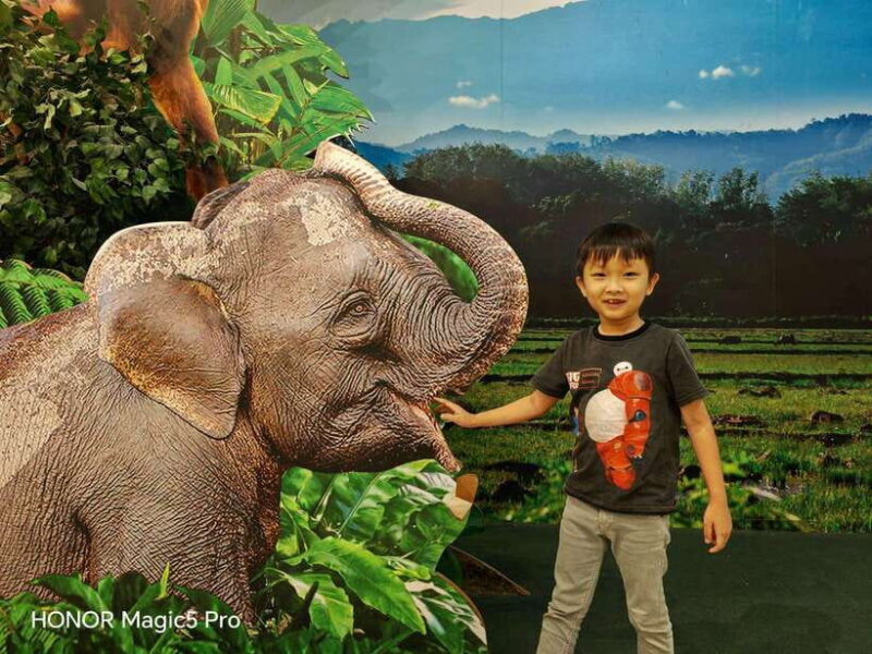 bongawan-river-cruise-proboscis-monkey-fireflies-viewing