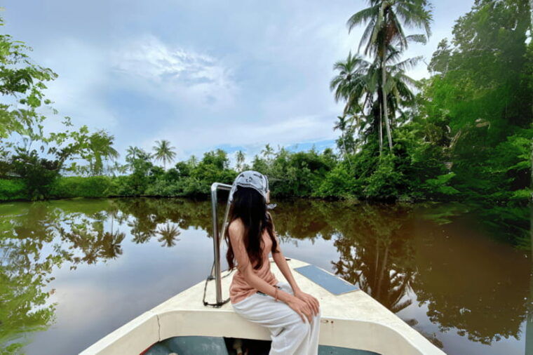 bongawan-river-cruise-proboscis-monkey-fireflies-viewing